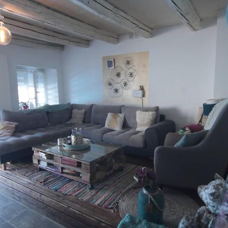 Appartement 90 M2 Vic-sur-Seille Dış mekan fotoğraf