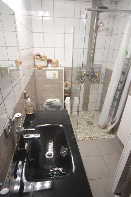Appartement 90 M2 Vic-sur-Seille Dış mekan fotoğraf