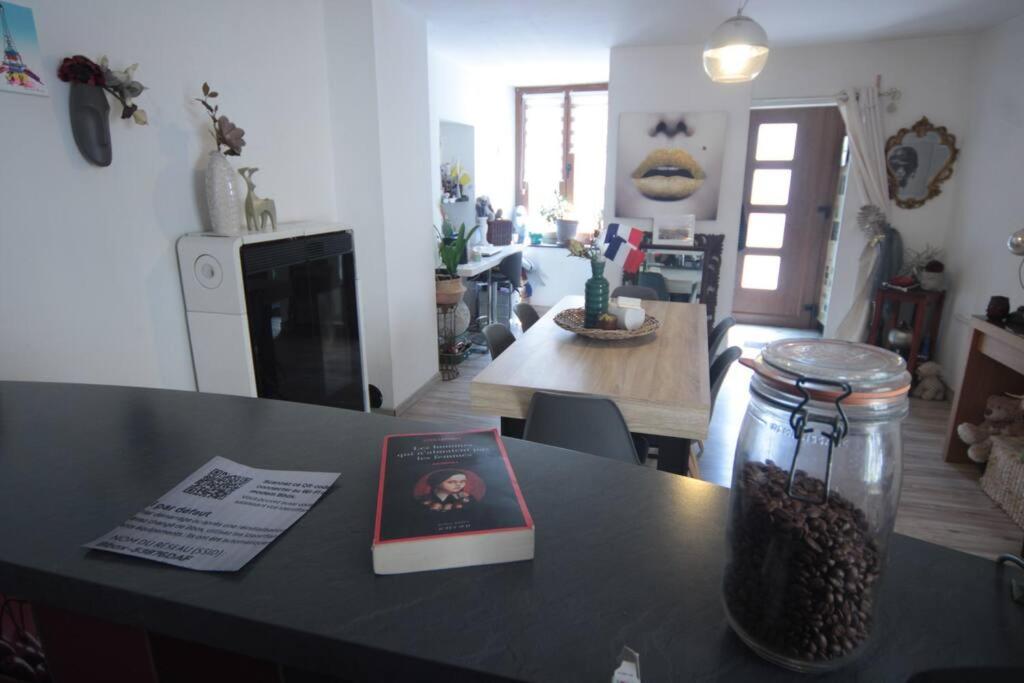 Appartement 90 M2 Vic-sur-Seille Dış mekan fotoğraf