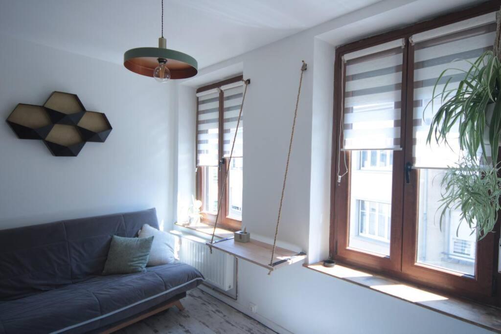 Appartement 90 M2 Vic-sur-Seille Dış mekan fotoğraf